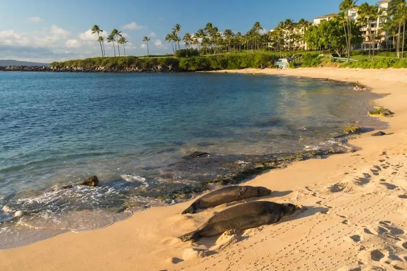 Kahana 1712 Kapalua Home דירה
