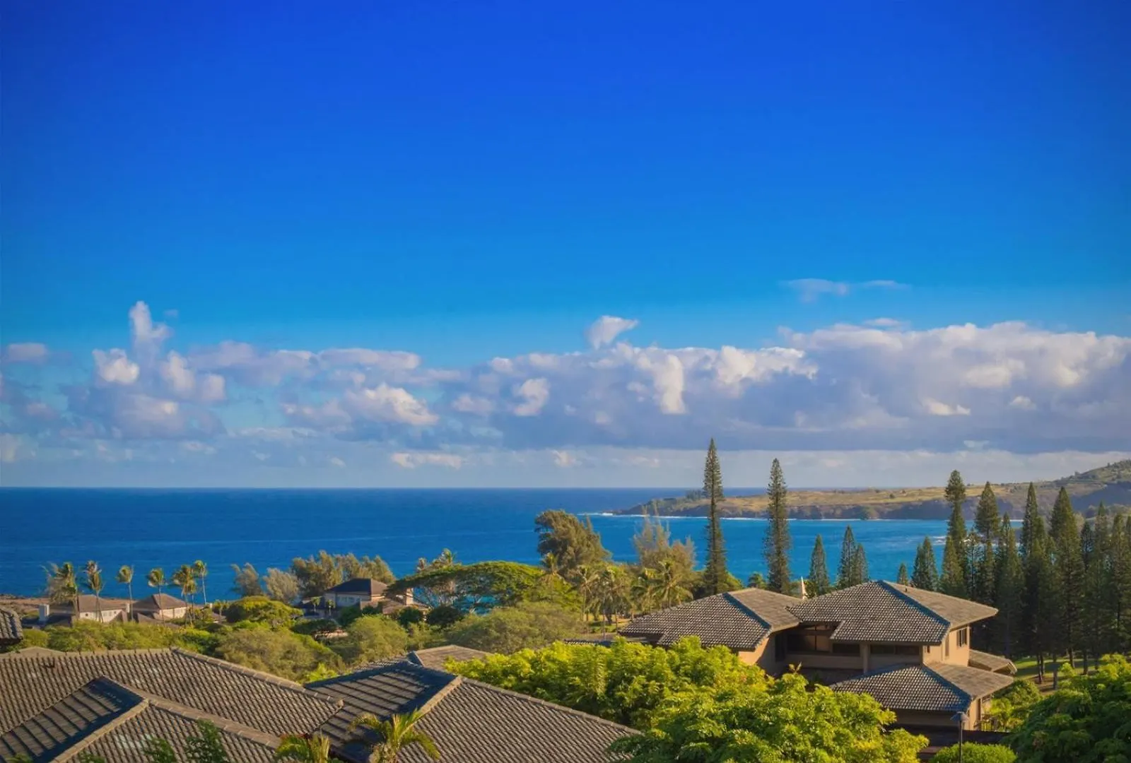 Kahana 1712 Kapalua Home דירה